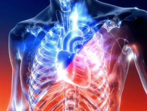 Gráfico explicativo del retorno venoso y flujo linfático impulsado por la compresión neumática de la presoterapia.